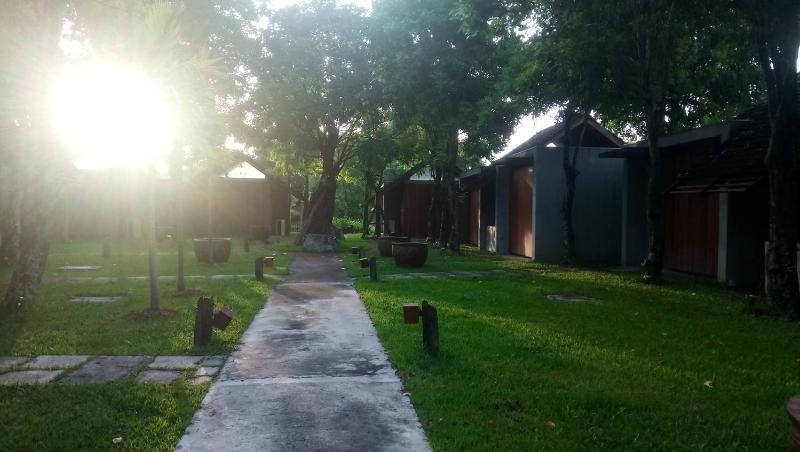 Into The Forest Resort Bangkok Luaran gambar